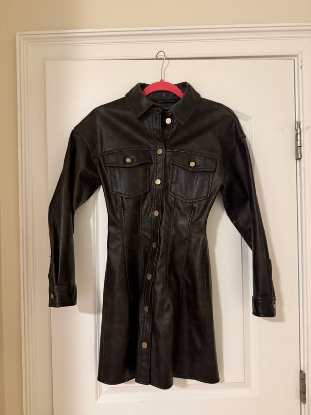 Zara Brown Long Sleeve Leather Dress